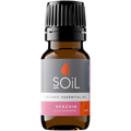 Organic Benzoin Essential Oil Dilution 10ml