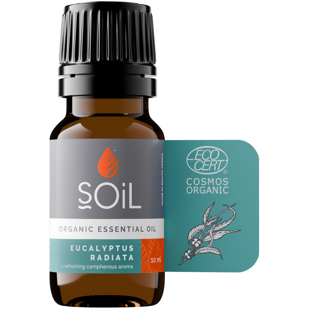 Organic Eucalyptus Radiata Essential Oil 10ml