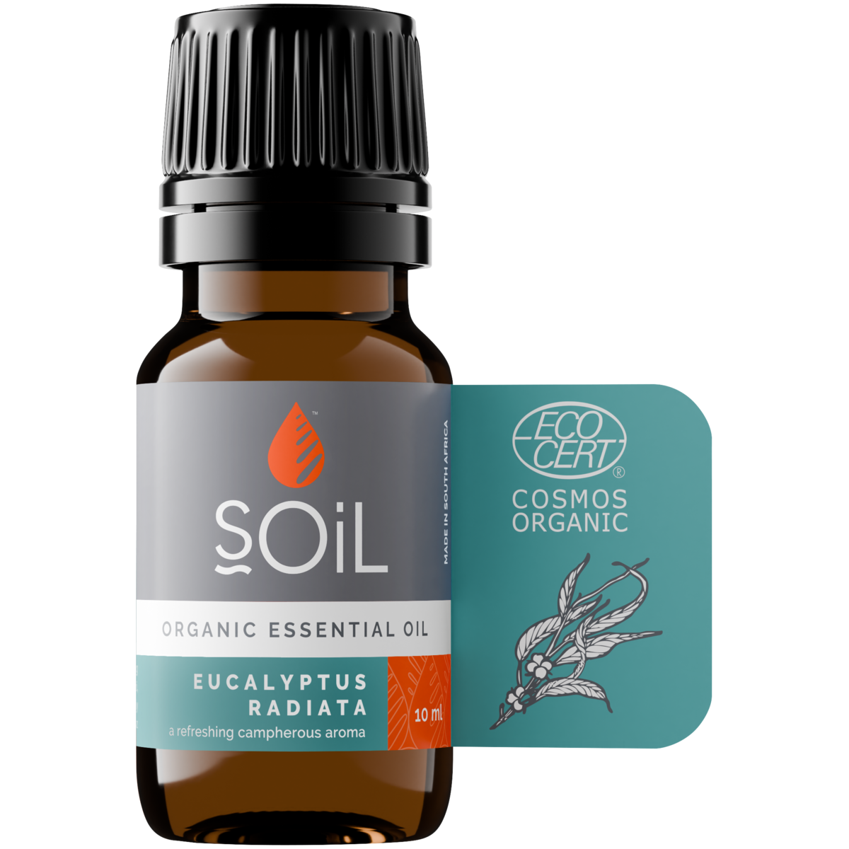 Organic Eucalyptus Radiata Essential Oil 10ml
