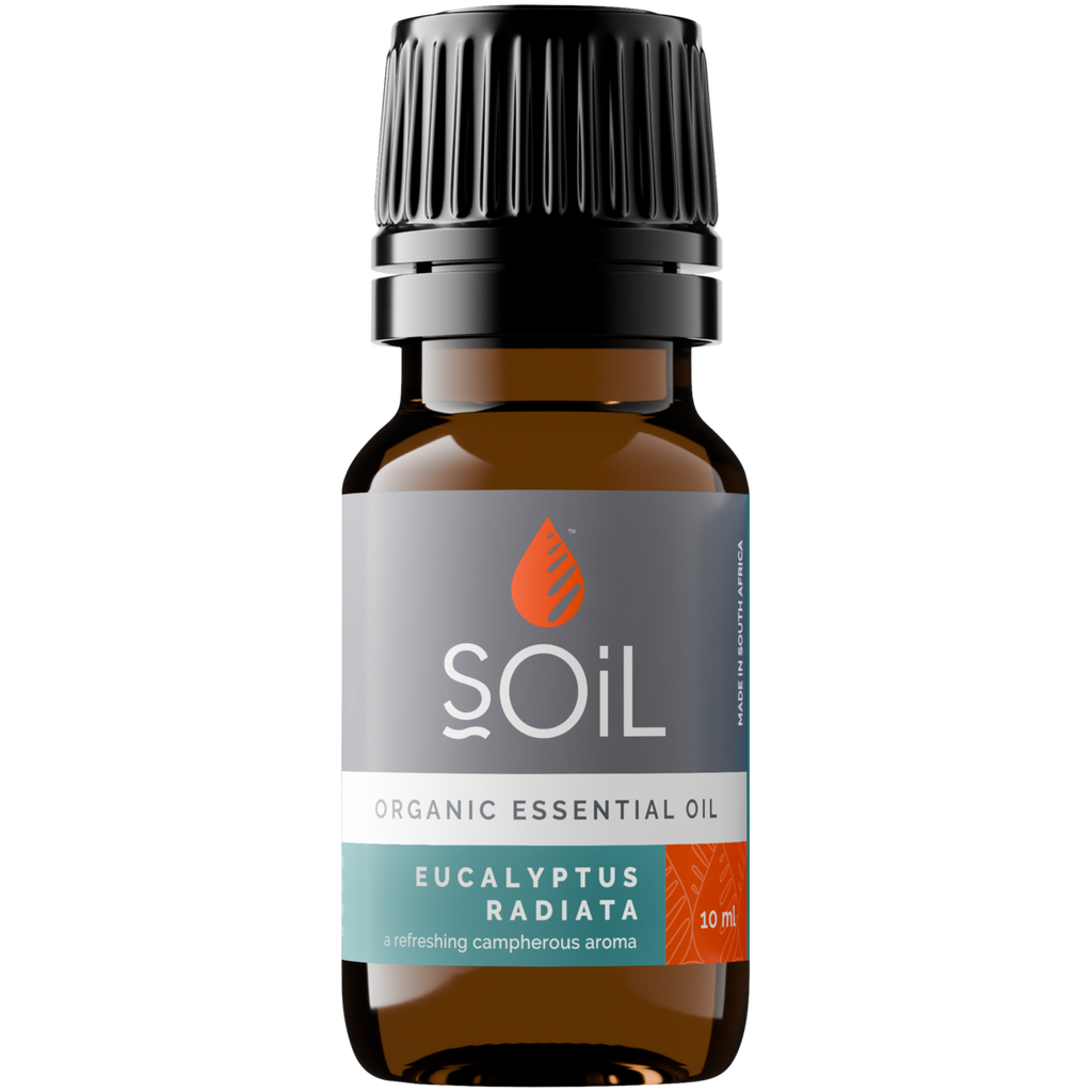 Organic Eucalyptus Radiata Essential Oil 10ml