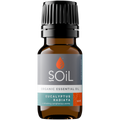 Organic Eucalyptus Radiata Essential Oil 10ml
