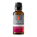Organic Cinnamon Leaf Essential Oil 30ml